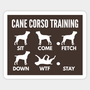 Cane Corso Training Cane Corso Dog Tricks Magnet